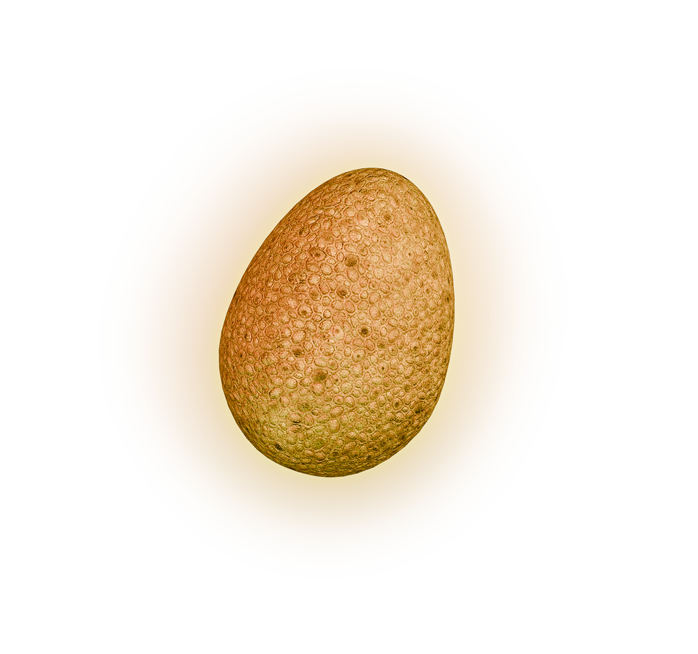 011. StadHuisDB_EI_GLOW-02